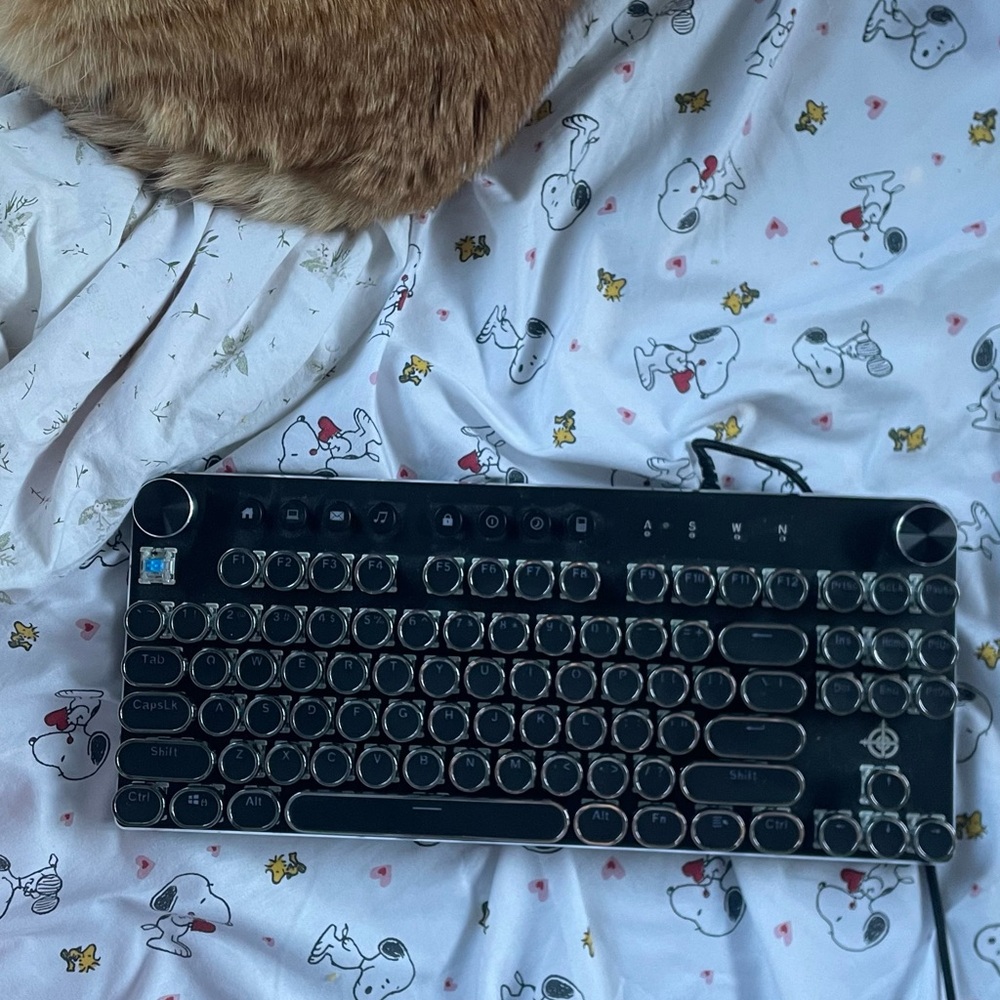 Retro Black Mechanical Keyboard with Round Keys